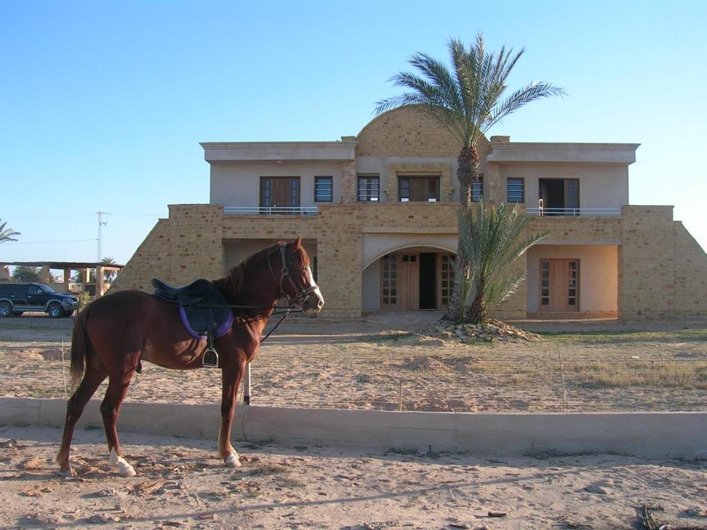 Bella Djerba Hotel Houmt Souk  Exterior photo